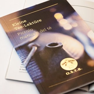 Illustration der Referenzen von Martina Leimegger: Designed bei Brandnamic*